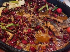 -老板恋上鱼(恒隆广场店)