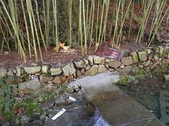 -众神白水涧景区