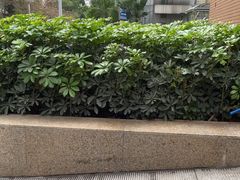 -VT101维多利广场
