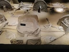 -洛阳周王城天子驾六博物馆