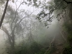 -王顺山国家森林公园