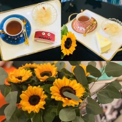 -新蝶变皮肤管理中心