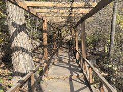 -大岭沟猕猴桃谷风景区