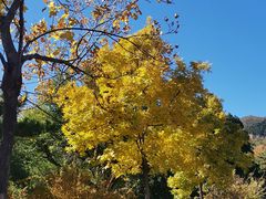 -北京西山国家森林公园