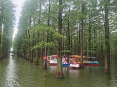 -渌洋湖湿地公园