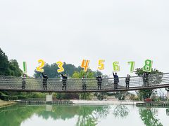 -铁山坪森林公园