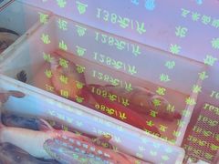 -江湖水乡铁锅炖魚(周庄嘉园店)