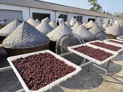 -苏州市吴中区光福窑上花果蜜饯厂