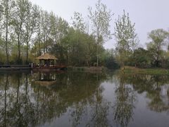 -溱湖国家湿地公园