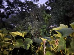 -南窖乡水峪村山情农家