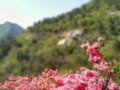 -木兰云雾山