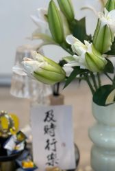 -倩极·精研痘敏肌管理