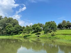 -福建鲤鱼洲酒店