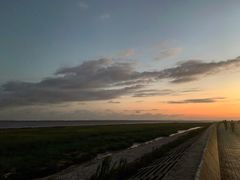-南汇嘴观海公园