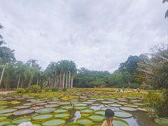 -中国科学院西双版纳热带植物园