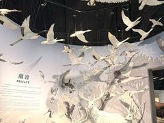 -中国湿地博物馆