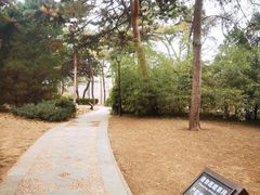 -元大都城垣遗址公园