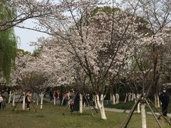 -范蠡湖公园