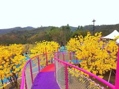 -清远熹乐谷温泉度假酒店