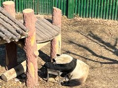 -沈阳森林动物园