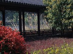 -葛仙湖公园