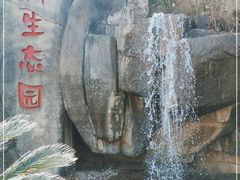 -新洲生态园