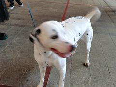 -新疆民族团结羊肉串(锦江区店)