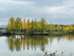 -石家庄市植物园