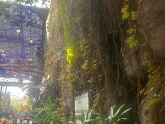 -长鹿旅游休博园