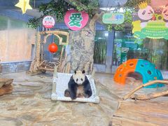 -海南热带野生动植物园