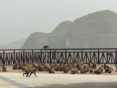 -重庆云阳龙缸景区