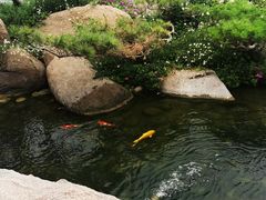 -罗红摄影艺术馆