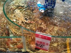 -寻味顺德·珍之宝酒楼(银钻店)