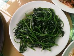 -四姑娘川味海鲜(八爪鱼店)
