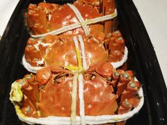 -黄记大闸蟹专卖店·活蟹·醉蟹