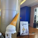 什么羽衣甘蓝也变成冰淇淋🍦啦？！