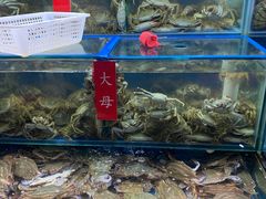 -三旗百汇商品城