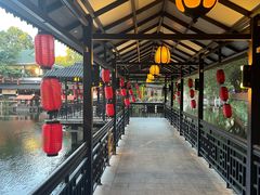 -侨美·唐荔园·40年地道粤菜