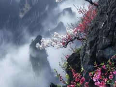 -信号山公园
