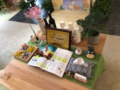 -觅屿日式脱毛美肤