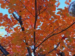 -长辛店二七公园