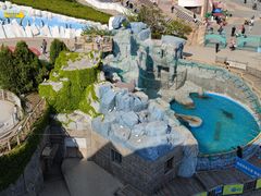 -海合安青岛极地海洋公园