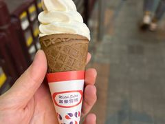 -富豪雪糕车流动点(尖沙咀店)