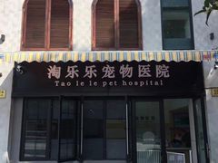 -凯瑞希宠物医院·狂犬免疫·微创·皮肤科