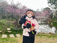 -无锡梅园公园