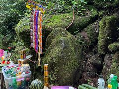 -碧峰峡风景区