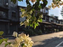 -安仁古镇