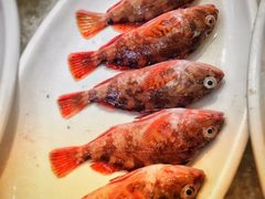 -杨记海鲜楼(三门黑金冠店)