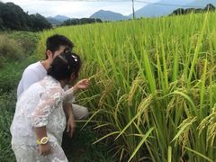 -罗坑大草原