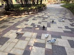 -青岛鑫江温德姆酒店